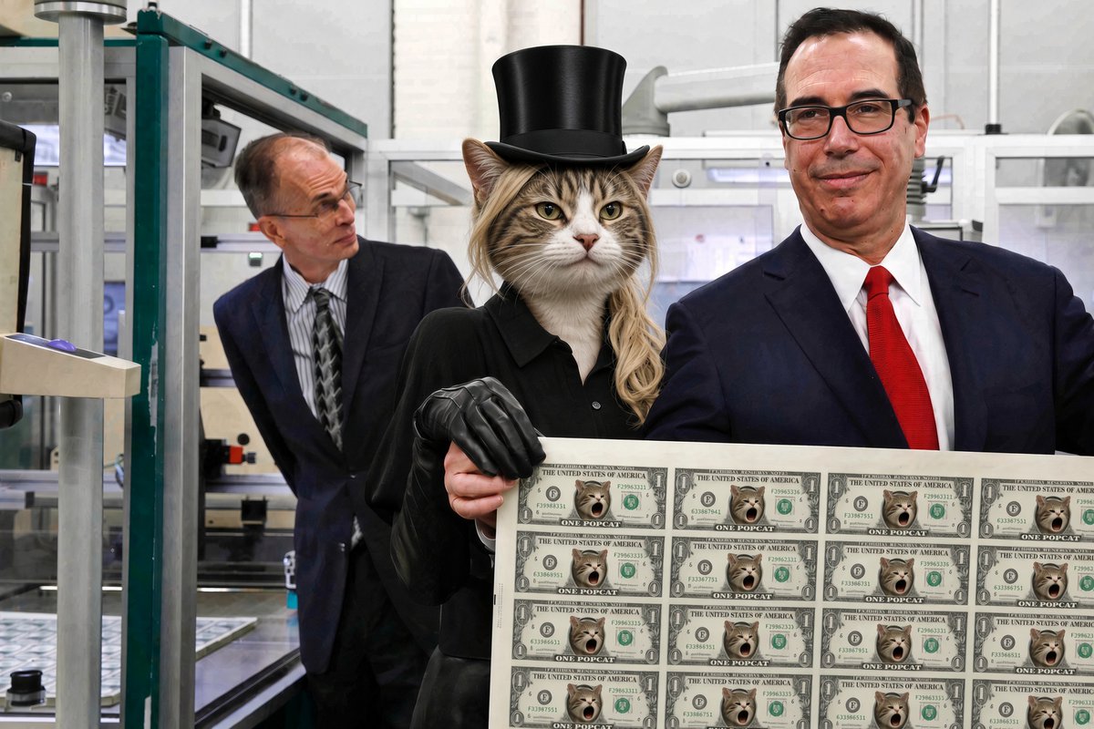 certifiedTOPCAT's tweet photo. its official
$popcat is top cat 
and
$topcat prints you $popcat https://t.co/qg7PPG6U1l
