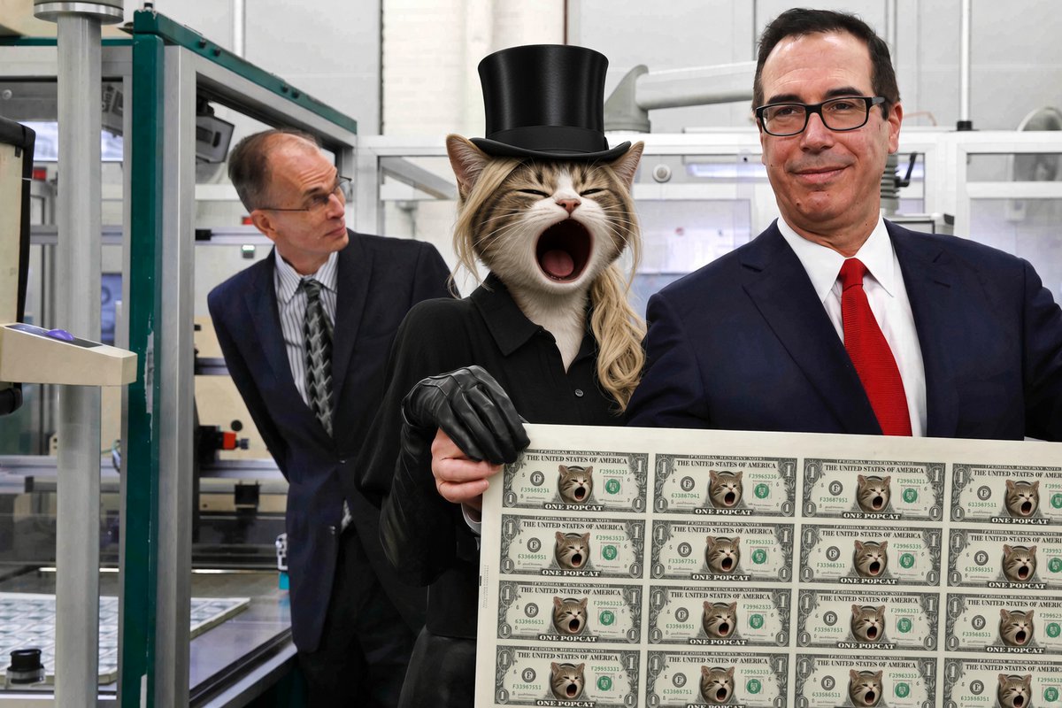 certifiedTOPCAT's tweet photo. its official
$popcat is top cat 
and
$topcat prints you $popcat https://t.co/qg7PPG6U1l