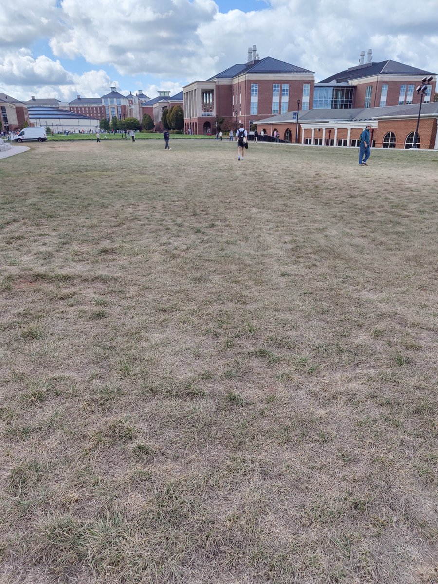 TopJWell's tweet photo. @dalibertyway71 you need to fix the parking on campus. #offroading #desirepath https://t.co/J2Ixm12kMS