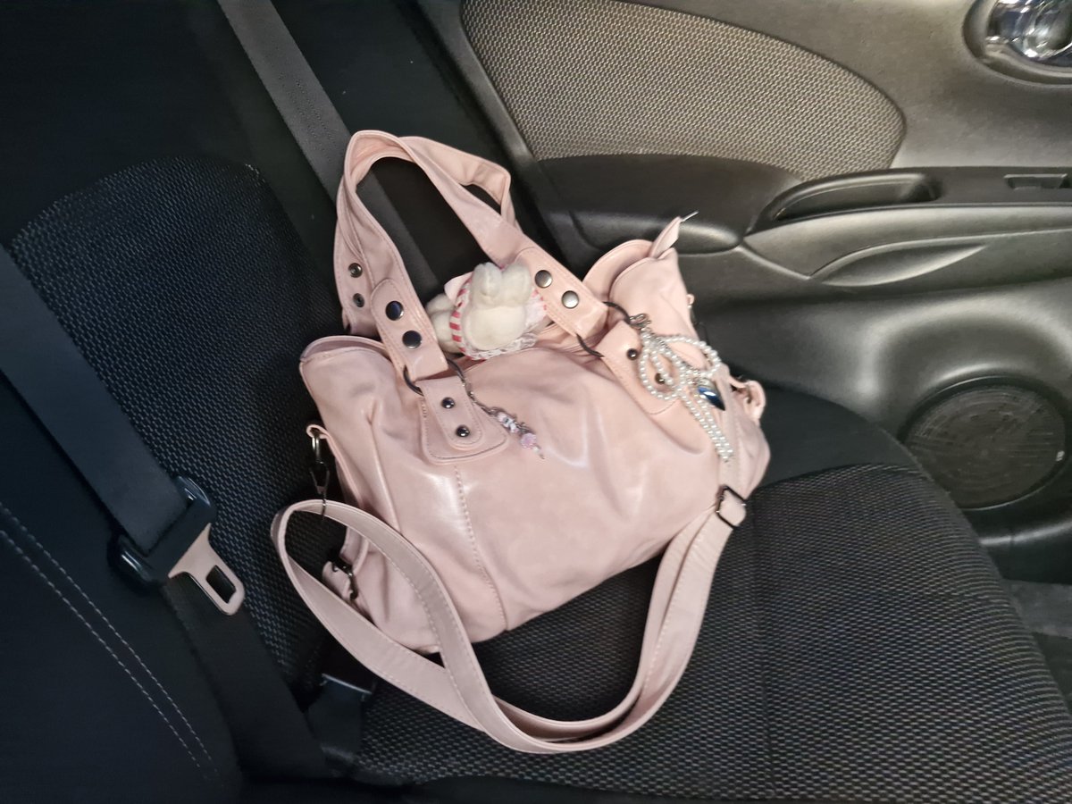 pnkhlic_exe's tweet photo. Nunca compro bolsas grandes pero esta me da demasiada felicidad https://t.co/s7wPjEpMRA