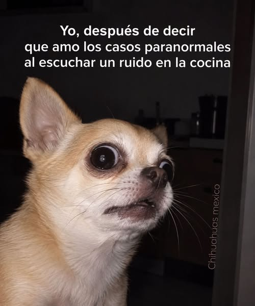 fernandoagu858's tweet photo. si nmms😆😆😆 https://t.co/a5KQ0nTc3K