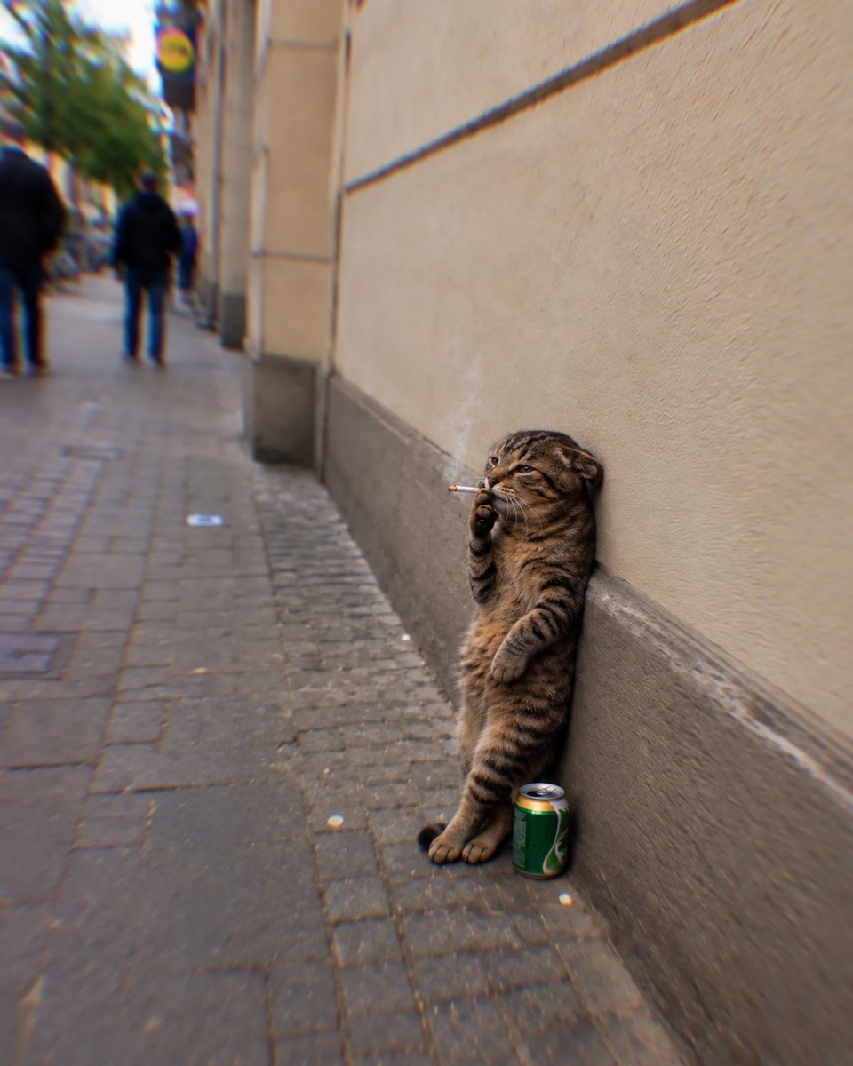 SmokingBeerCat's tweet photo. Just existing. https://t.co/wpK9J3iskZ