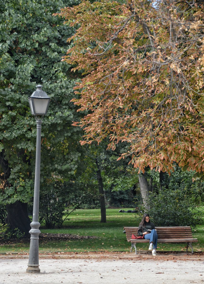 ManuelRevilla57's tweet photo. #ElRetiro #Madrid
Octubre 2025 https://t.co/3bkmqrwAak