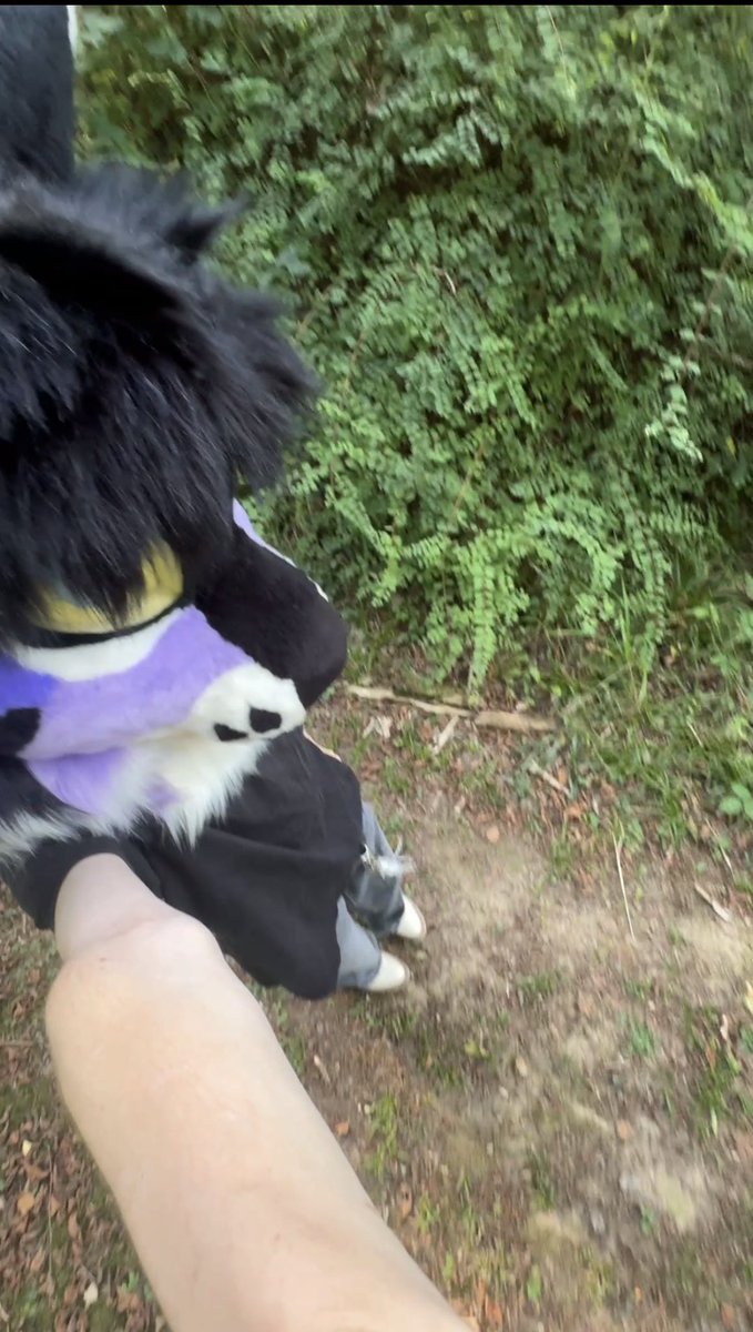 flinchawake's tweet photo. kiro begging me for the same attention I give kaylus 
ladyboys one at a time alright https://t.co/q0hn8DdM96