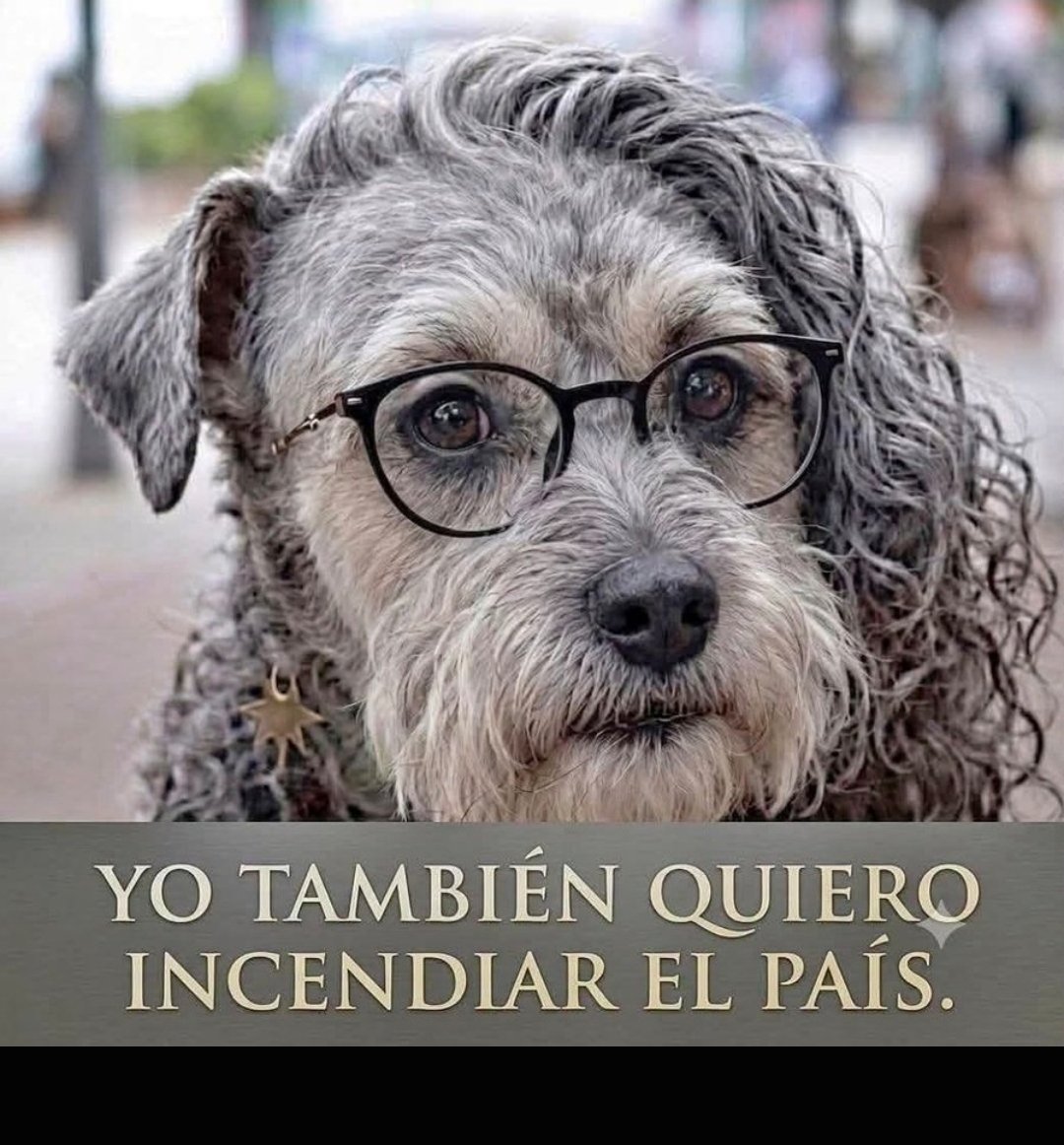 JoseWilmerPache's tweet photo. Quie es ? https://t.co/VeNDTG6lJh