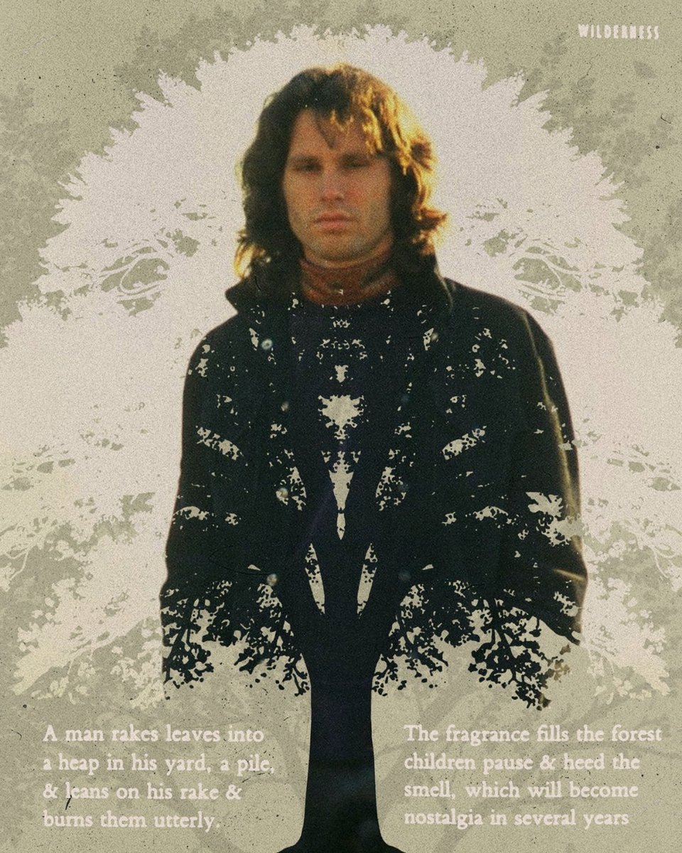 JimMorrison's tweet photo. Are you raking leaves yet?

#JimMorrisonPoetry

Photo by Paul Ferrara. https://t.co/9IehpSIqcC