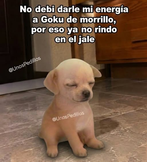 fernandoagu858's tweet photo. si soy... https://t.co/FtbQ7aYXdD