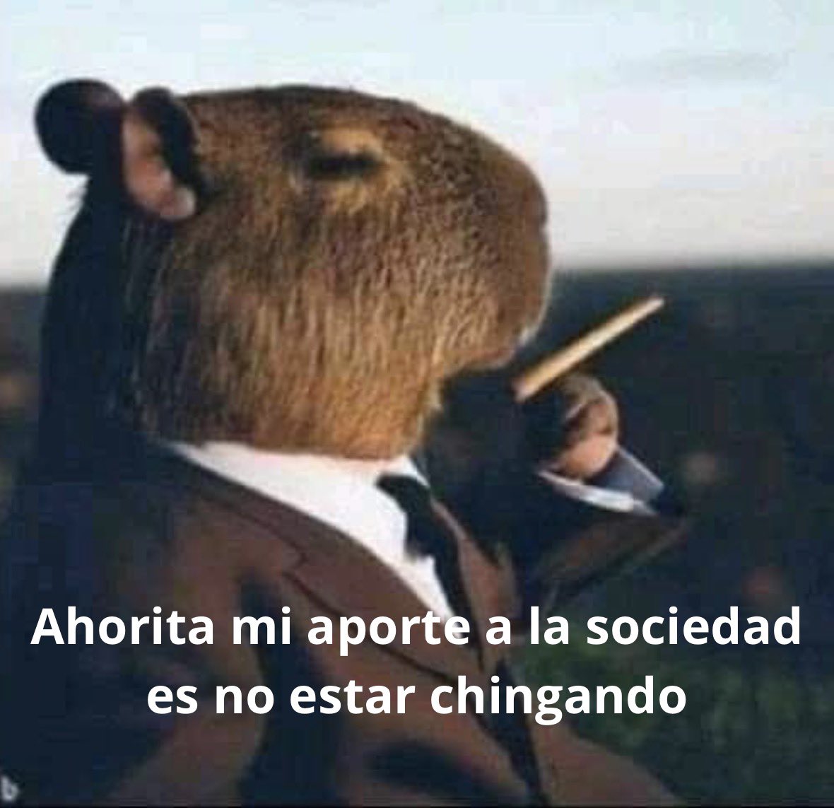 conoloracigarro's tweet photo. https://t.co/f0TQZ2NTpI