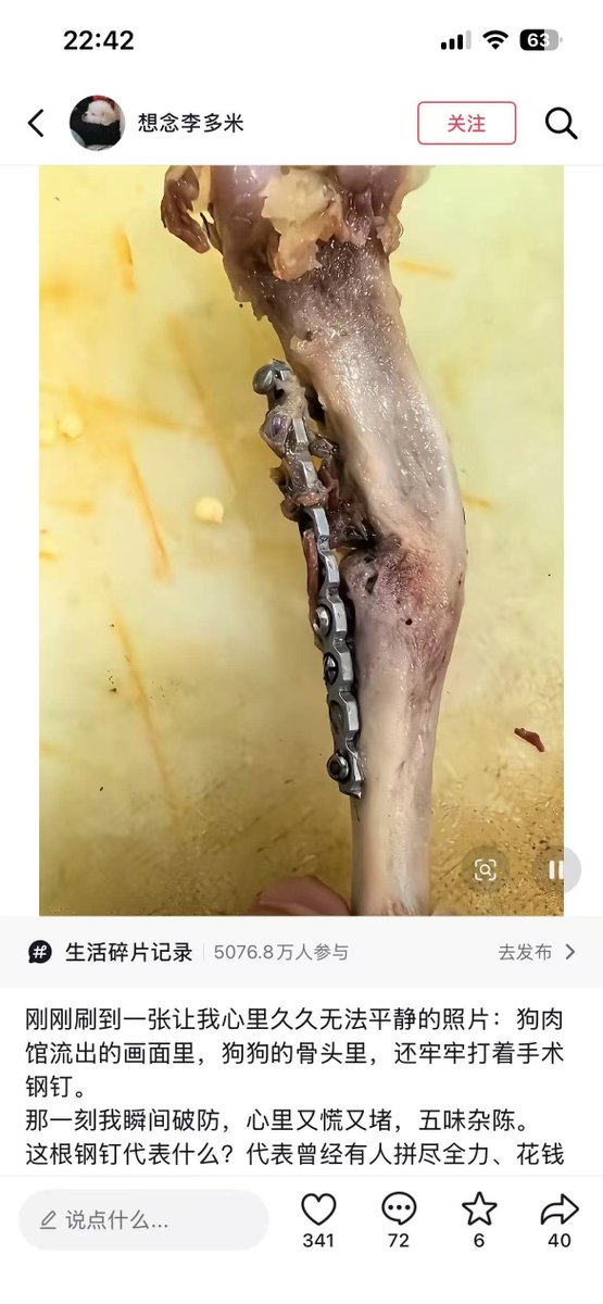 pubao22's tweet photo. 中国狗肉餐馆里的骨头上，还打着手术的钢钉。不知道是谁家的宠物狗被偷走卖掉，被杀了吃了。主人如果看到这个图片，会崩溃的吧。
吃猫吃狗吃马吃鸟，吃任何动物的国家……
#StopAnimalCruelty
#StopAnimalCrueltyInChina
#BoycottChina https://t.co/lOo9H6Ap3f
