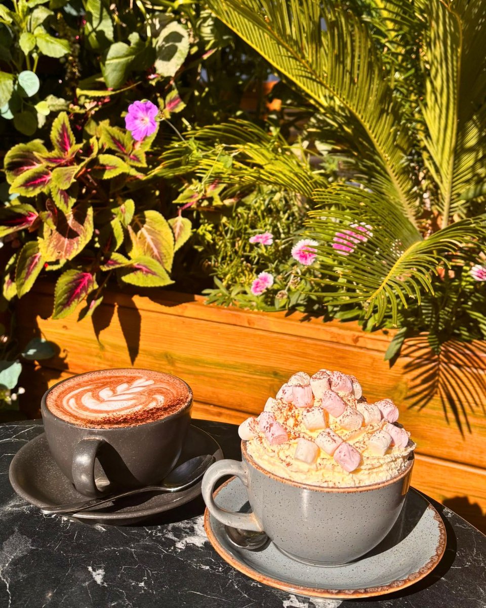 ProjectCoffeeUK's tweet photo. Craving chocolate? 🍫😋
Enjoy a delicious mocha or try our decadent hot chocolate! 
Made with responsibly sourced West African cocoa, suitable for vegetarians &amp; vegans too (let our baristas know to prepare with a non-dairy milk)
📍 #ProjectCoffee #tadpolegardenvillage #swindon https://t.co/JD7wt1cp1N