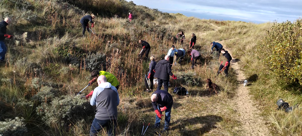GreenSefton_'s tweet photo. Huge thank you to volunteers who came today to remove invasive sea buckthorn from #ainsdale sand dunes! 

Email jordan.scott@sefton.gov.uk to arrange volunteering on the #seftoncoast!

@seftoncouncil @NTFormby @NENorthWest @RSPB_Ribble https://t.co/zshJznILME