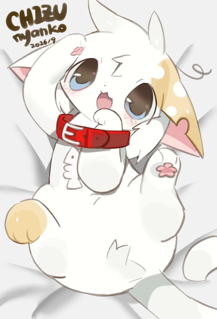 CHIZUnyanko0914's tweet photo. https://t.co/dZJSsQUF5f