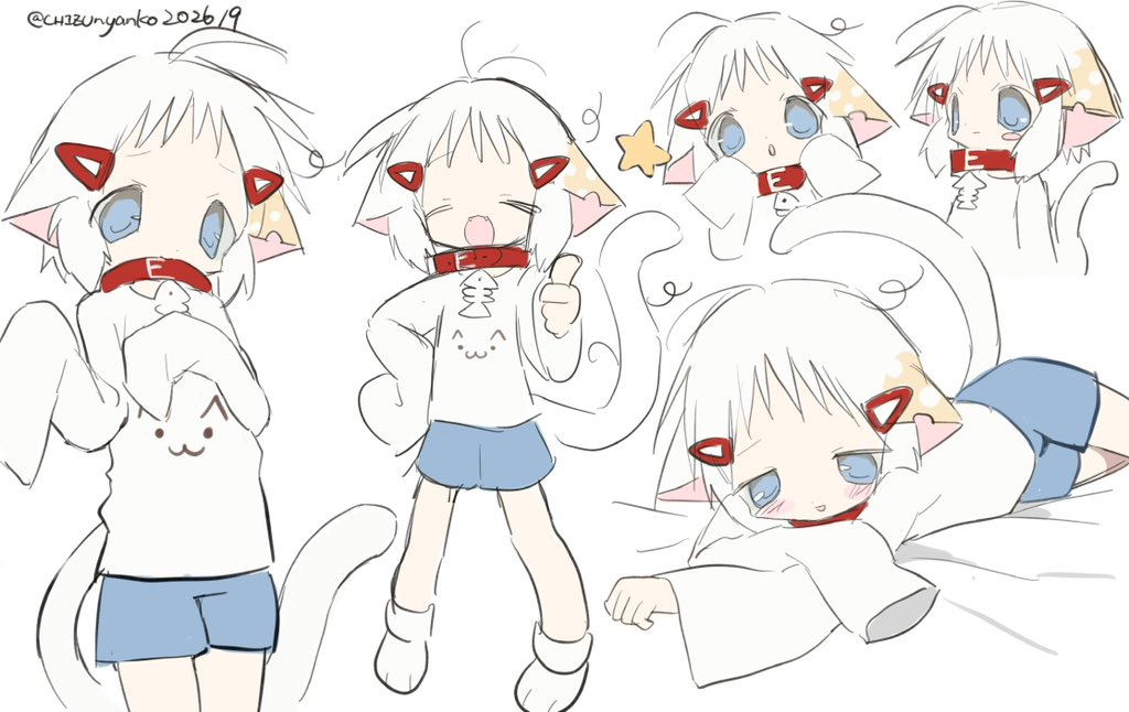 CHIZUnyanko0914's tweet photo. https://t.co/dZJSsQUF5f