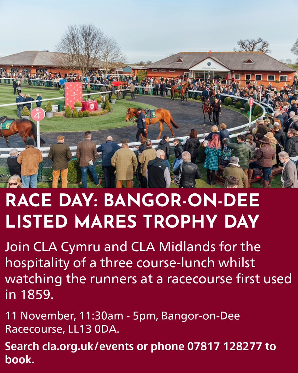 CLACymru's tweet photo. Join CLA Cymru and @CLAMidlands for the Listed Mares Trophy Day at Bangor-on-Dee racecourse. Enjoy a three-course lunch, watching the runners and networking with your rural community. 11 November, 11:30am-5pm, LL13 0DA. Search https://t.co/Pz7uV5u1X9 or phone 07817 128277 to book https://t.co/nyB67YeN4P