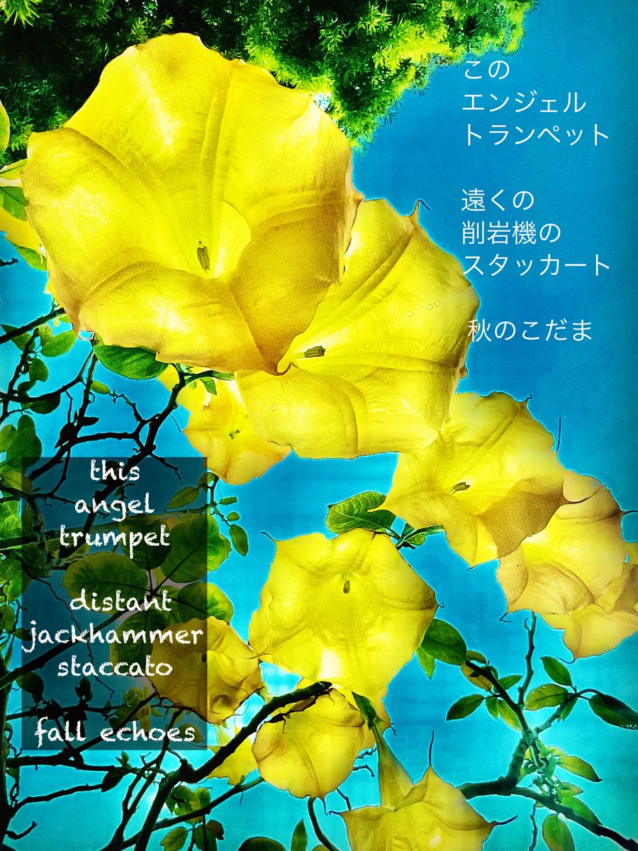 vbvlach tweet picture