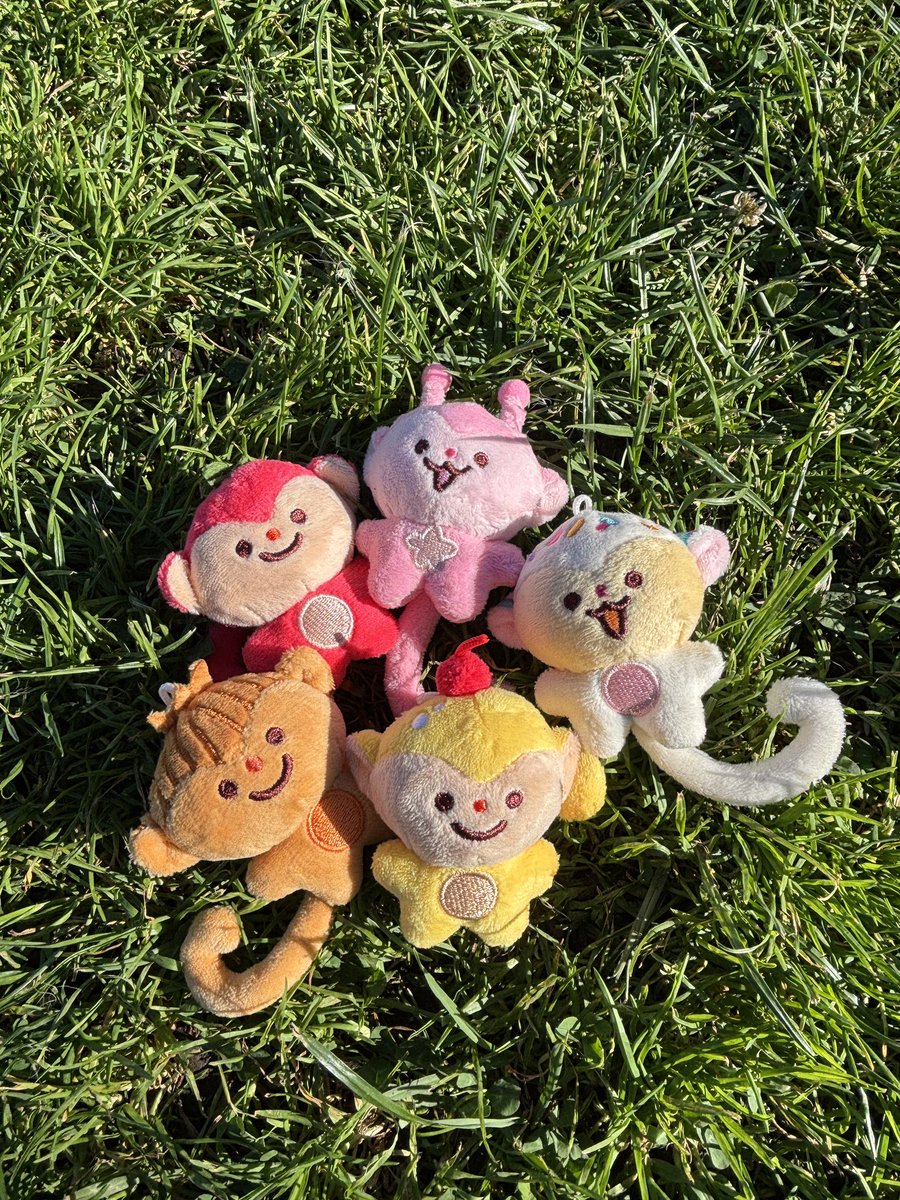 camiilicy's tweet photo. Today (9/29) is the last day to preorder the gacha monkeys ! 💕✨☘️🌱 i will not be having the up online after preorders end and they will be at in person events only! 💐🐒 https://t.co/A322eU3vMC
