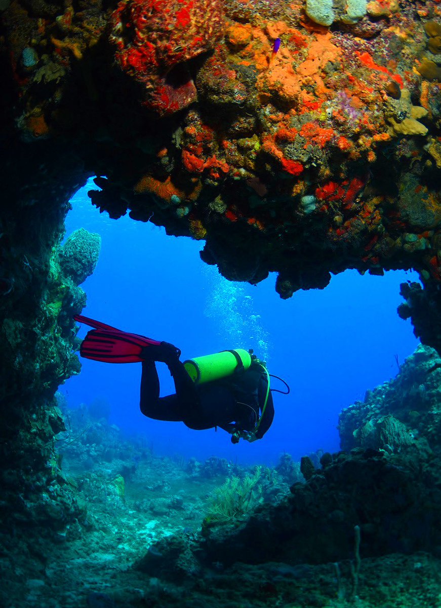 dominica_of's tweet photo. Toucari #Cave, #Dominica.
#Caribbean #nature #island #sea #water #ocean #beautiful #underwater #underwaterphotography #naturephotography #naturephoto #TwitterNatureCommunity #TravelTuesday #travel #travelling #photooftheday #Tuesday https://t.co/VN0btPfvjO