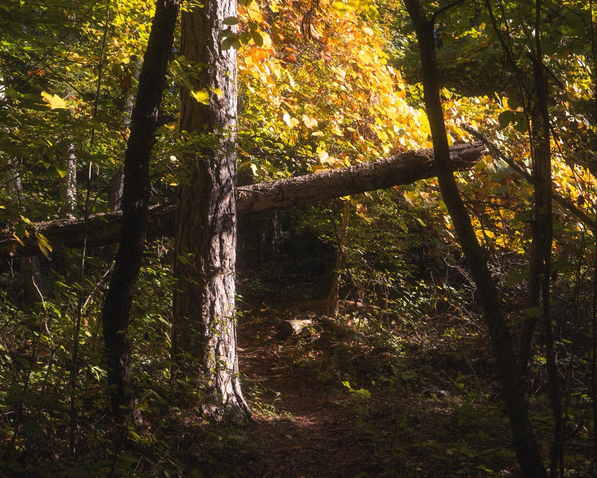 twashstarcrazy's tweet photo. autumn has began to arrive https://t.co/xdmXkWu47Y