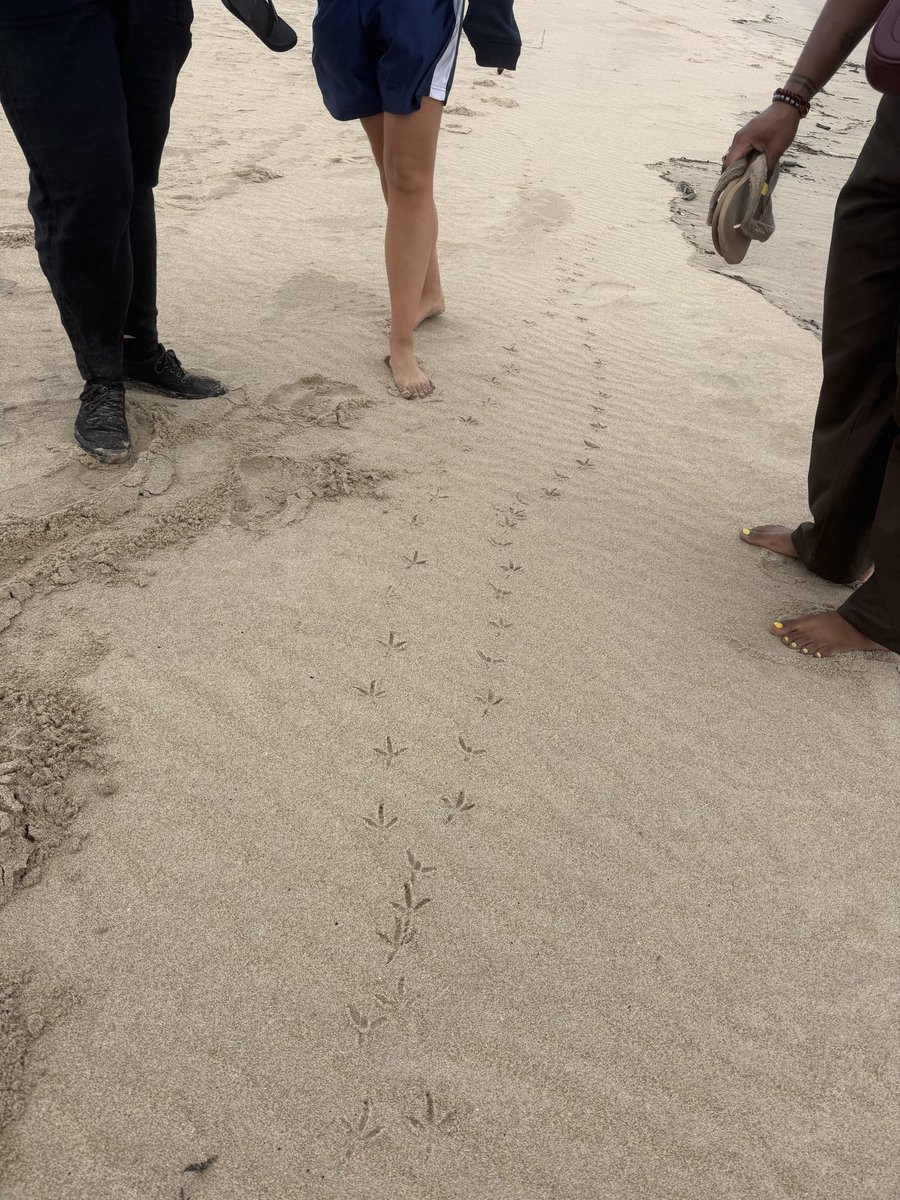laaaarissaaaa's tweet photo. auditioning for Dune 3 https://t.co/FZXG7MXjSA