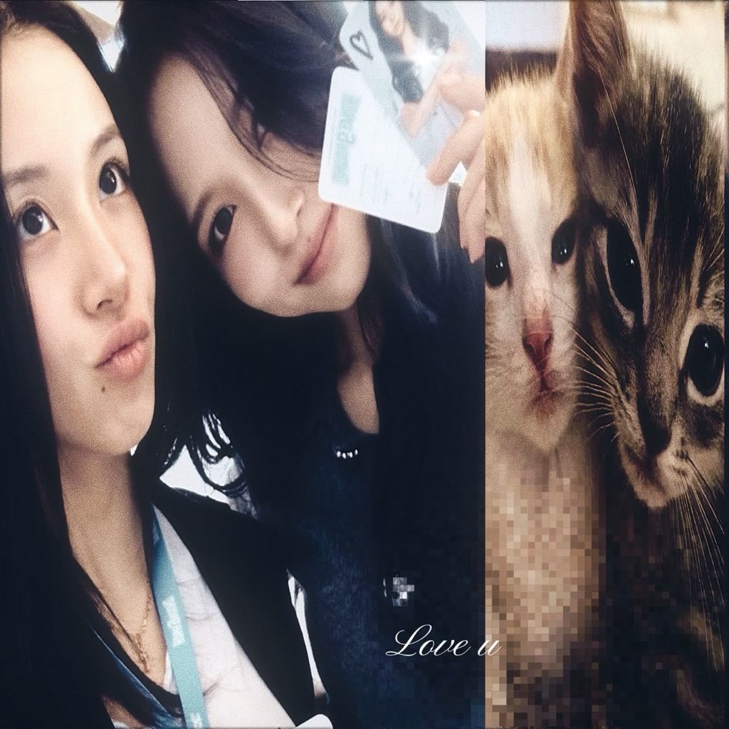 Remmiivs0l's tweet photo. Тупа �� и кто 🐈‍⬛🐈 https://t.co/SMXz0QyJUc