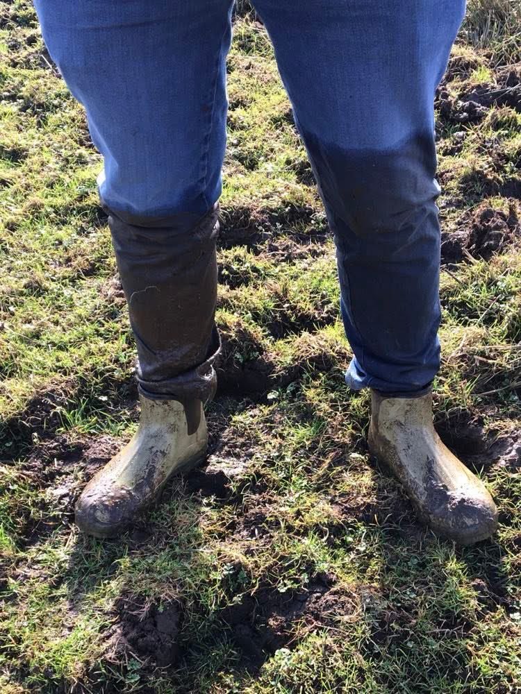 HalfSnipe's tweet photo. It’s almost time…

But seriously- How can Jacks plodge around in the clarts &amp; not get hacky blacky up to the naffs ?? 🧐😄 https://t.co/mfdqL5pDtl