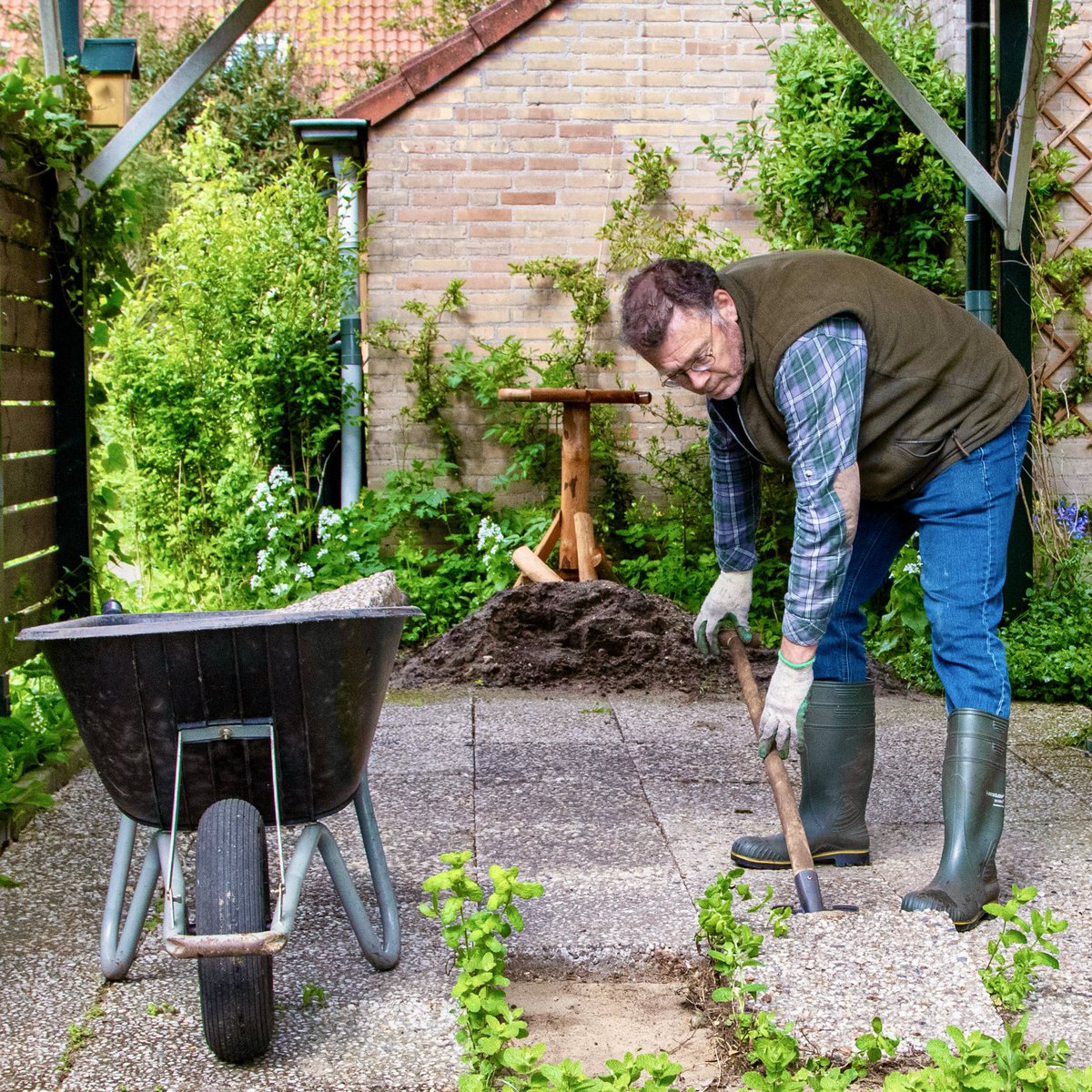 gemeentehia's tweet photo. 🏡🍂 Herfst: hèt seizoen om de tuintegels te vervangen voor groen!

Heb je tegels vervangen voor groen? Geef ze op voor @NKTegelwippen! Ambacht scoort goed in de ranglijst en iedere verwijderde tegel verbetert onze positie! Meld je verwijderde tegels op nk-tegelwippen. https://t.co/Ojgcrw5v8D