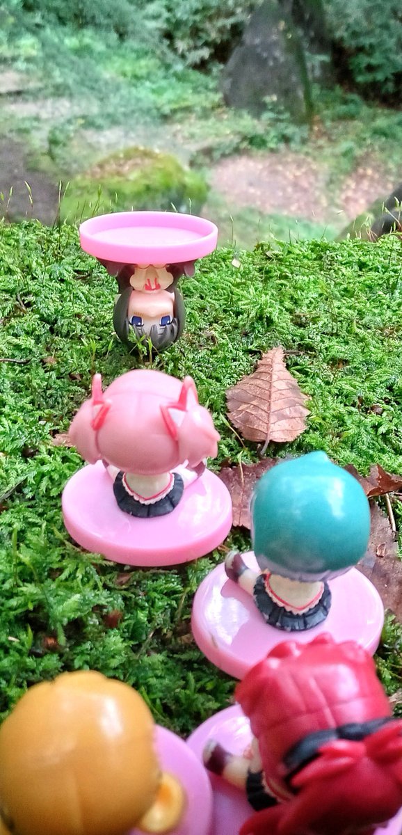 moguchan62's tweet photo. #夜のフィギュア撮影会 【フリー】ワス先輩が歯茎の検査するって！
ｷｬﾊ!(⁠^⁠^⁠)(⁠^⁠^⁠)(⁠^⁠^⁠)(⁠^⁠^⁠)(⁠^⁠^⁠)💕
妖精さんも健康診断かな？
#オモ写 #ペタン娘 #まどマギ #マギレコ #まどドラ #立川 #昭和記念公園
−こどもの森にて−
廻天ごっこが大流行中の妖精さんなのです！🤣 https://t.co/vaZFkjNWOq