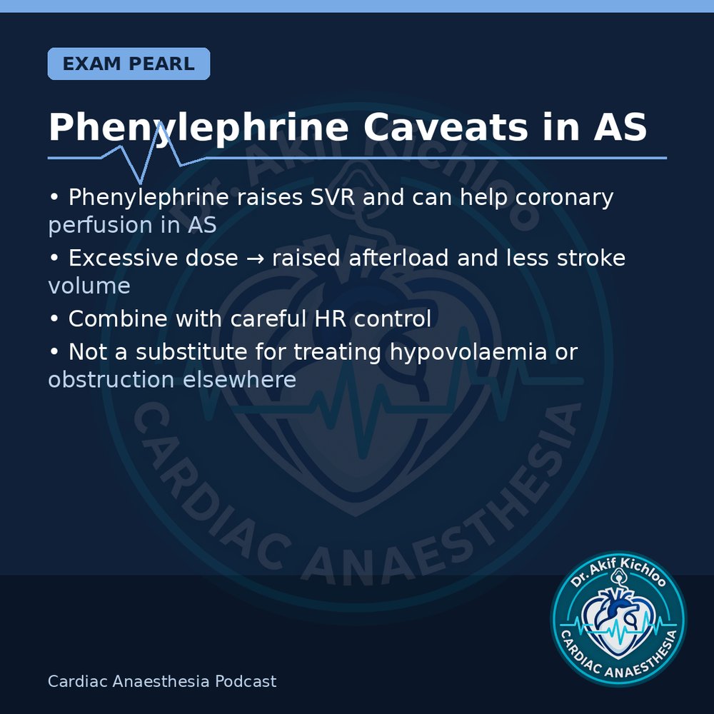 akifkichloo's tweet photo. CPB Drugs &amp; HIT
Rewarming, HIT alternatives, GTN vs SNP, phenylephrine in AS.
Cardiac Anaesthesia Podcast
#CardiacAnaesthesia #CardiacAnaesthesiaPodcast #MedEd #CardiacOR https://t.co/jaiSYQ6NHz