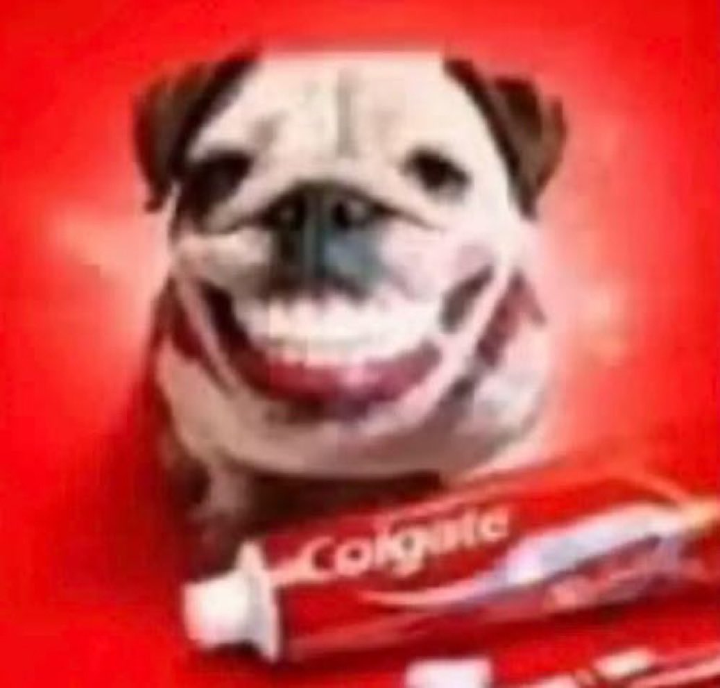 nysweeeet's tweet photo. sou esse cachorro https://t.co/Qe5UkQomvo