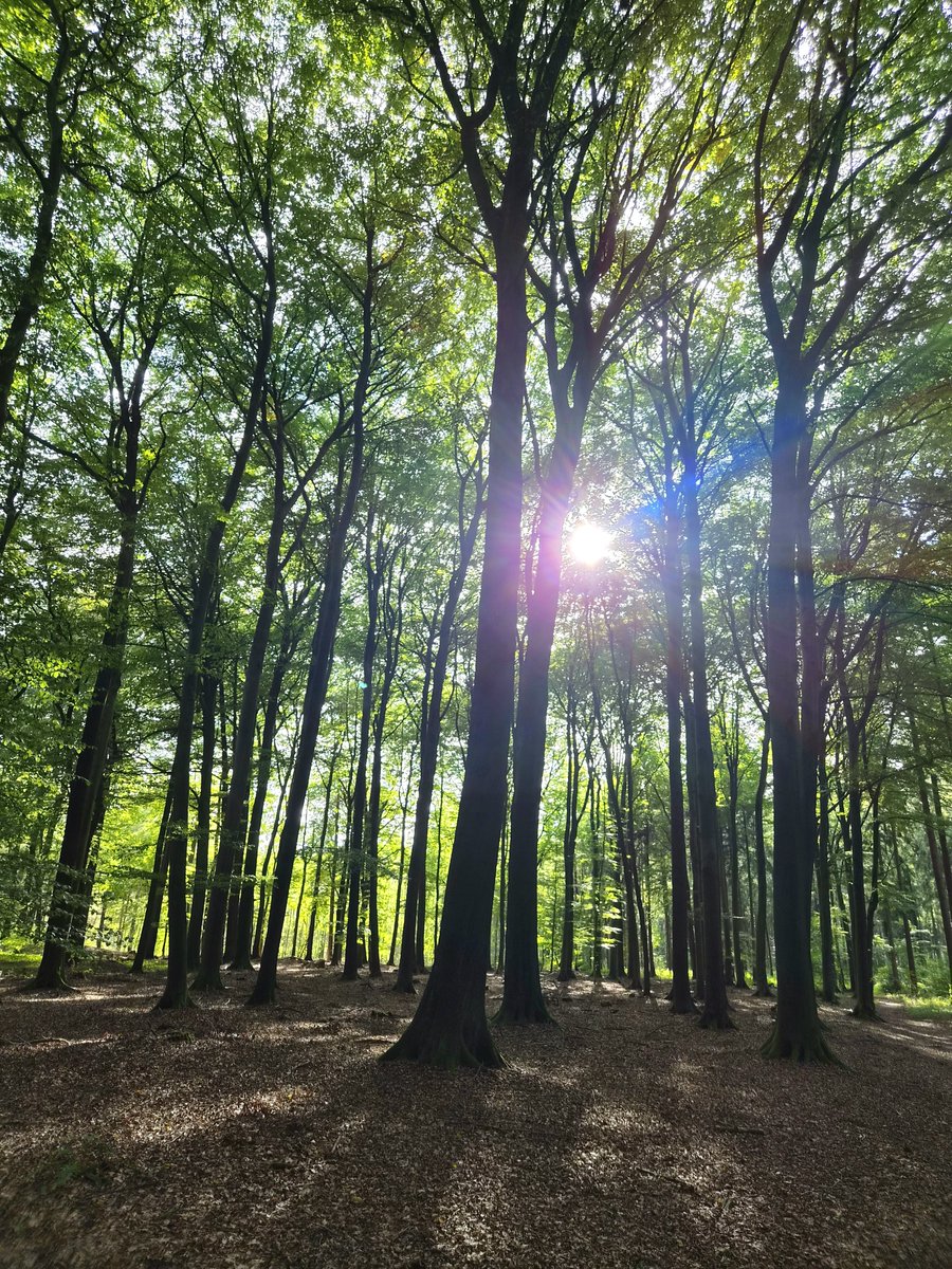 chriz31_07's tweet photo. 🍃 Thoughtful Tuesday 🌿

Hello everyone 👋

Wishing you a beautiful Tuesday with a few quiet moments to enjoy along the way 🌿📷

#ThoughtfulTuesday https://t.co/Lnri7qMS4t