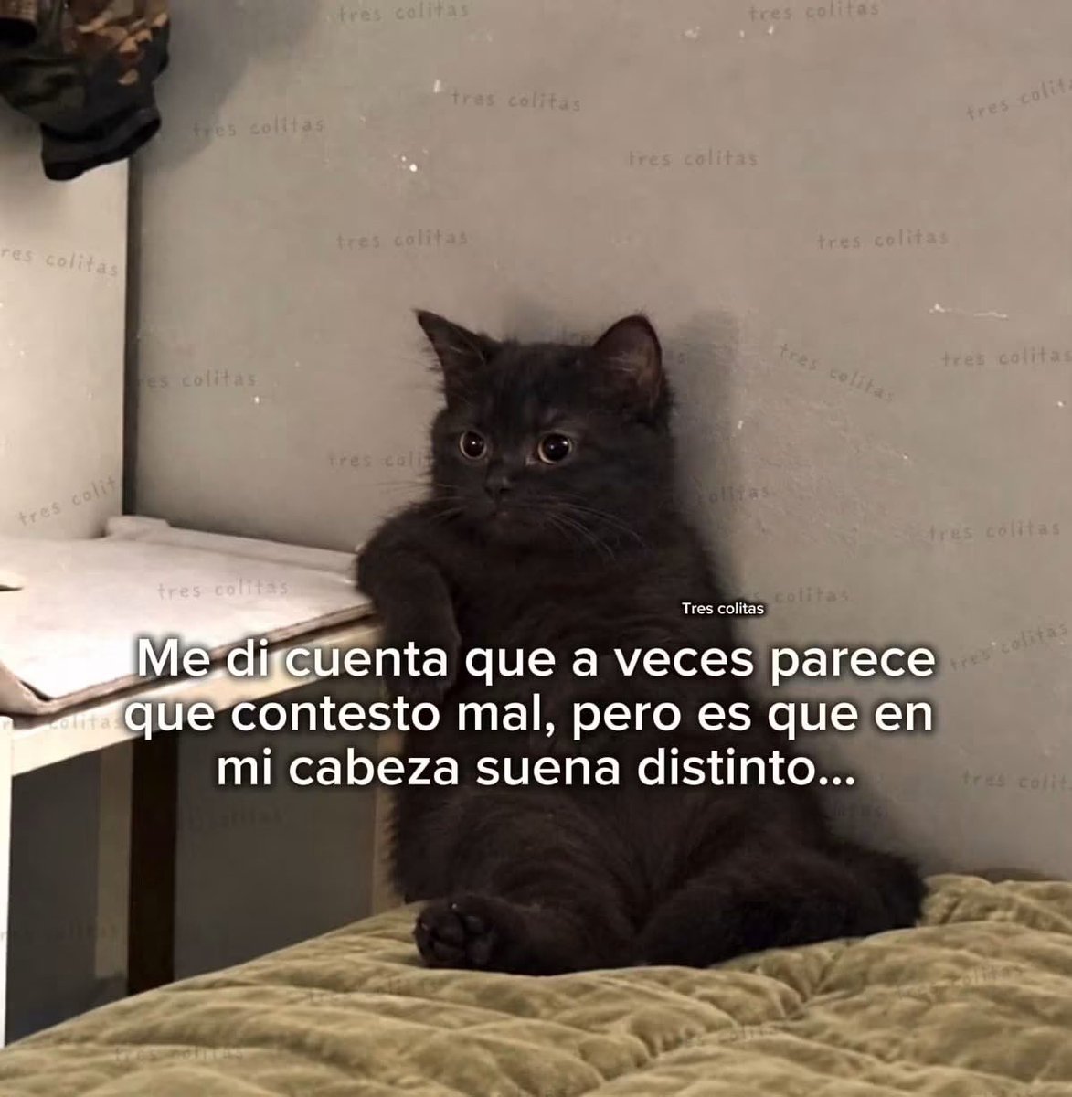 pauvelociraptor's tweet photo. Gatito para enfrentar el día. https://t.co/9ZqeJawazh