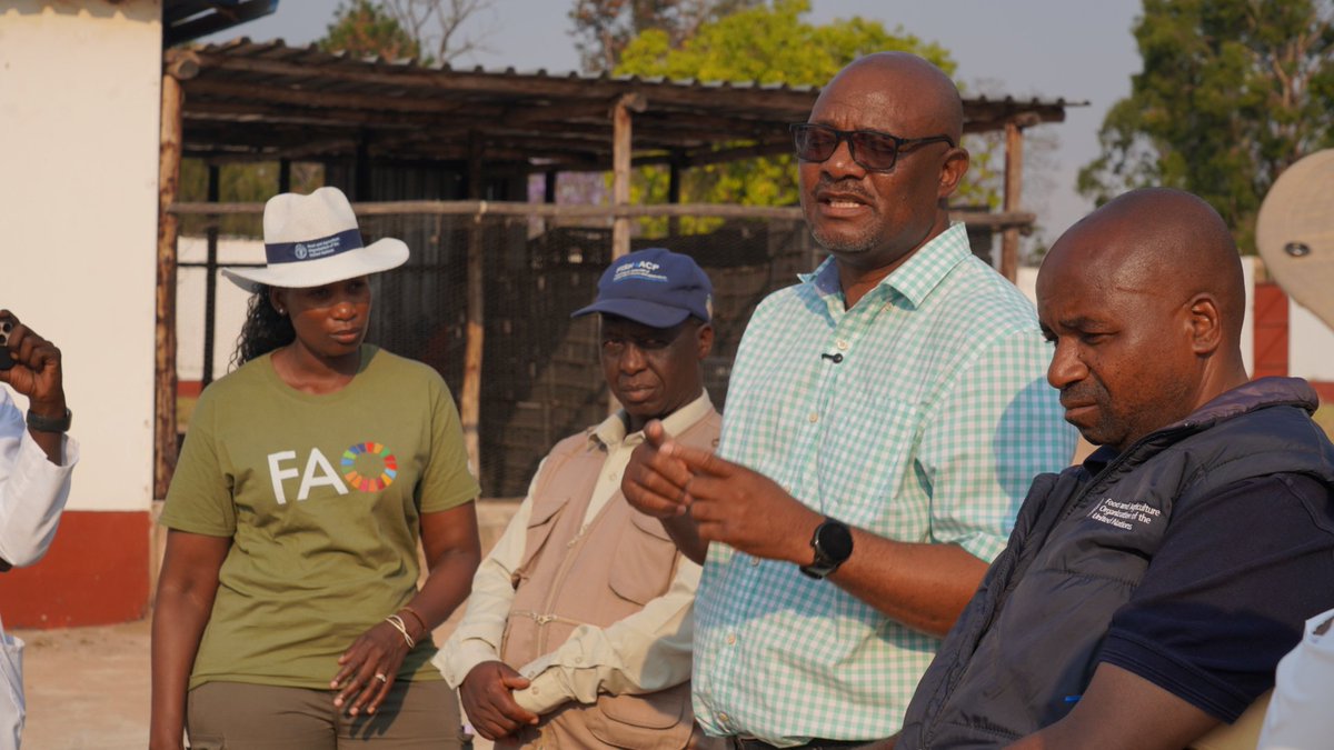 FAOZimbabwe's tweet photo. @euinzim @BMZ_Bund @MeasAcp @EU_Partnerships @FAOfish @faosfsafrica @FAOAfrica 🔋🐟 Solar power + cold storage = new possibilities for fisheries.
At the Odzi value chain facility, solar systems & cold-chain equipment are now on site & ready for installation.
An important step towards transforming fish handling, storage & market access.
#FISH4ACP https://t.co/gSKk00AY2P