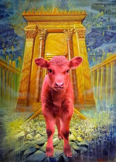 goat307th's tweet photo. Judaism ceased to exist in 70 A.D. What has existed since that time is a Satanic counterfeit. Christians want to help these “Jews” rebuild a Temple where animal sacrifices will be offered to “God.” This completely disavows Christ’s final sacrifice and is a heresy of the highest order.