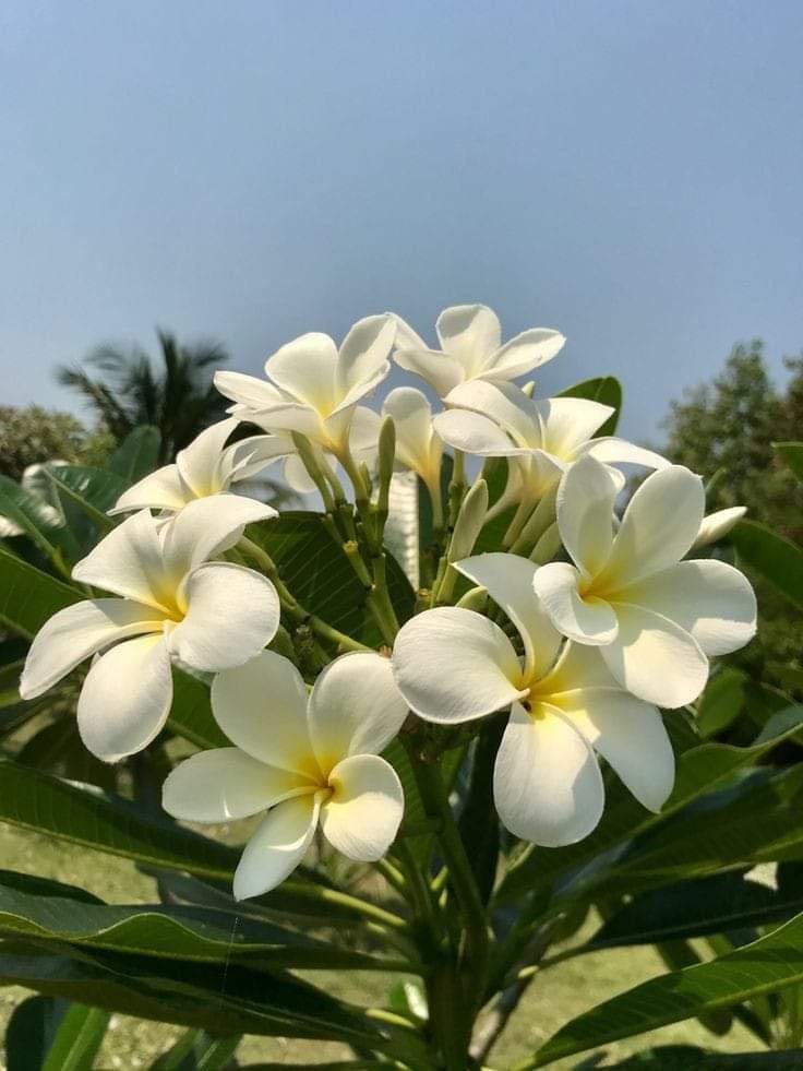 ThetAye56315's tweet photo. အတူတည္ရွိခဲ့တဲ့ေပ်ာ္ရႊင္မႈတိုင္းအတြက္ေက်းဇူးတင္ပါသည္♡.

🐺🐼❤️🫶MP🤍💛
SWEET NIGHT MEENPING ✨💕💓💖

#Area86
#MeenPing
#Meennicha8
#PingKrittanun
@nichameen8 @PKrittanun https://t.co/vmx3yqOsdV