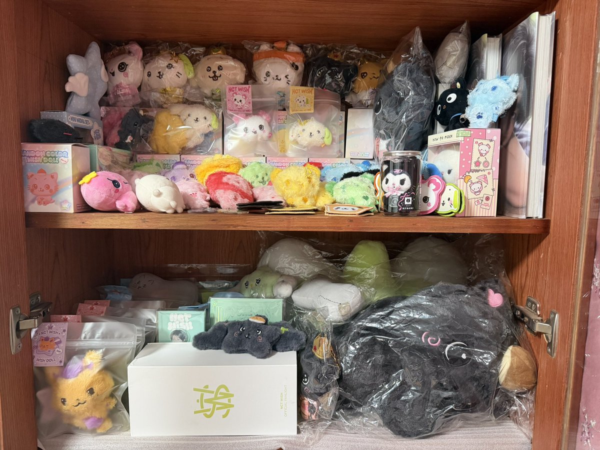 dreamtalk0105's tweet photo. 有没有什么好用的娃娃展示柜的推荐？
娃娃的地方太少了…
#wishdoll #nctwish #엔시티 #추천 https://t.co/QJ6m3cz8OQ