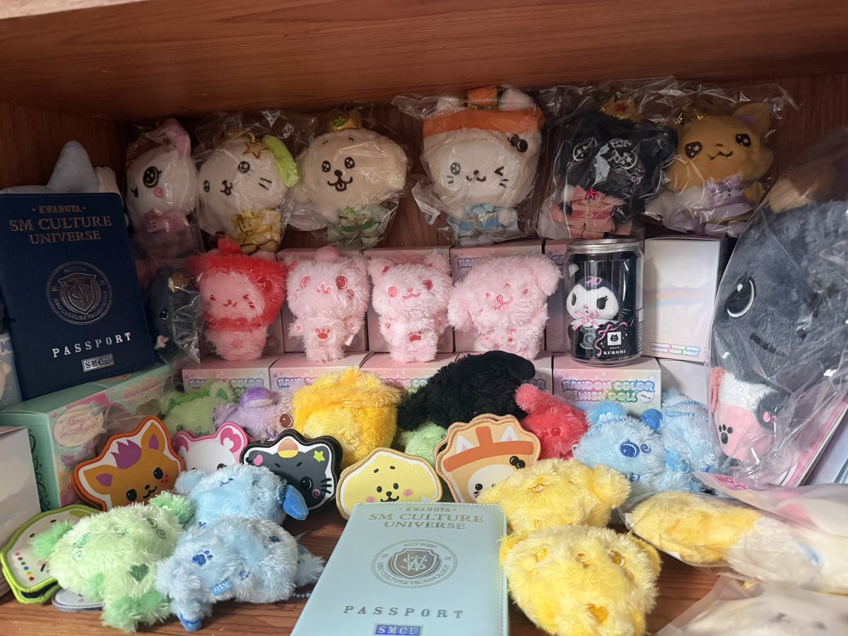 dreamtalk0105's tweet photo. 有没有什么好用的娃娃展示柜的推荐？
娃娃的地方太少了…
#wishdoll #nctwish #엔시티 #추천 https://t.co/QJ6m3cz8OQ