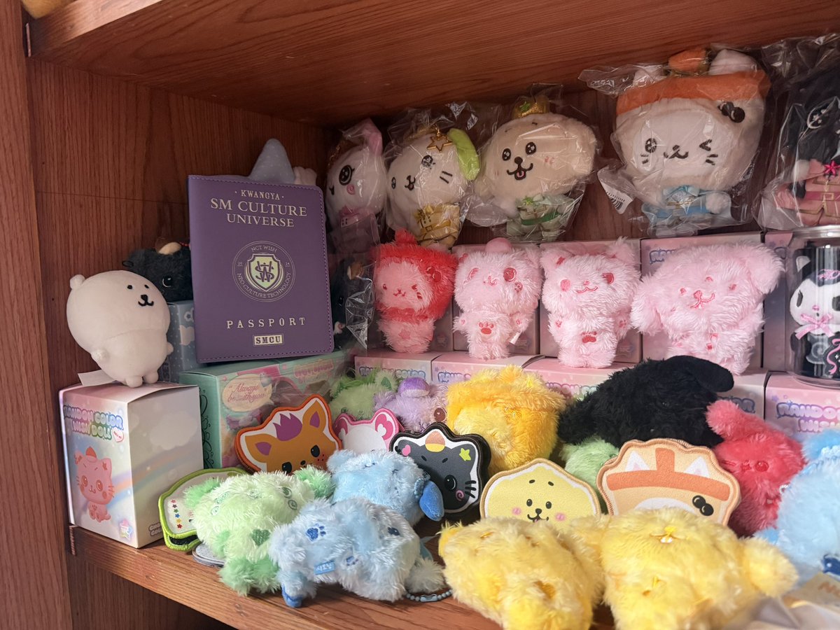 dreamtalk0105's tweet photo. 有没有什么好用的娃娃展示柜的推荐？
娃娃的地方太少了…
#wishdoll #nctwish #엔시티 #추천 https://t.co/QJ6m3cz8OQ
