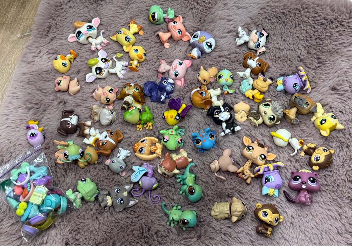 xobimbonympho's tweet photo. i still have pets and accessories for sale looking for a new home !! don’t hesitate to dm me https://t.co/yrSaaSFxEK