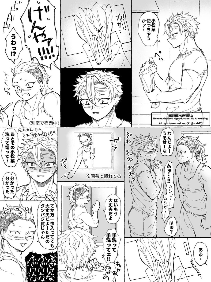 sprb27's tweet photo. むしが苦手な兄貴（現パ🍉+🍃らくがき）

*カッコイイ兄貴居ません（ｷｬﾗ崩壊気味）
*気持ち程度のむし https://t.co/lu5rM51LF2