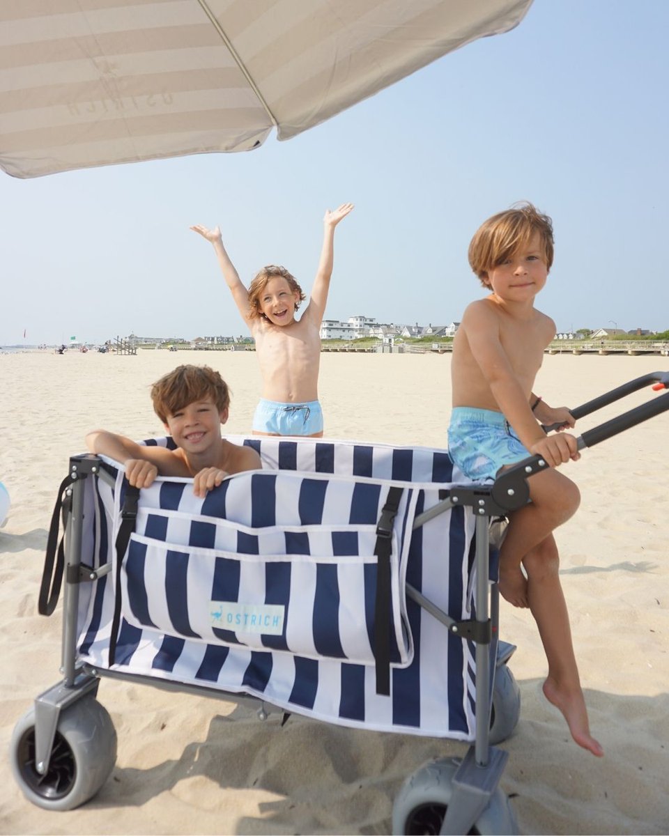 OstrichChairs's tweet photo. safe to say the boys like the Dune Runner...😆💙 https://t.co/p2rplS1QrL