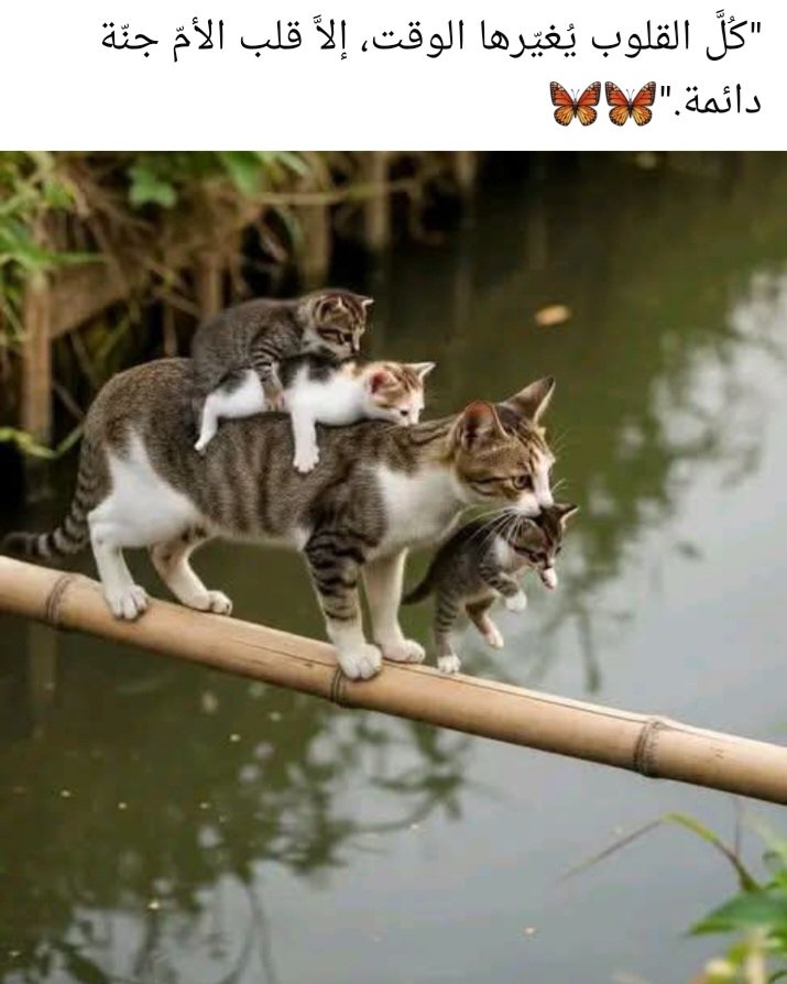 Flora_Lauraa's tweet photo. https://t.co/49Ru7NlfMo