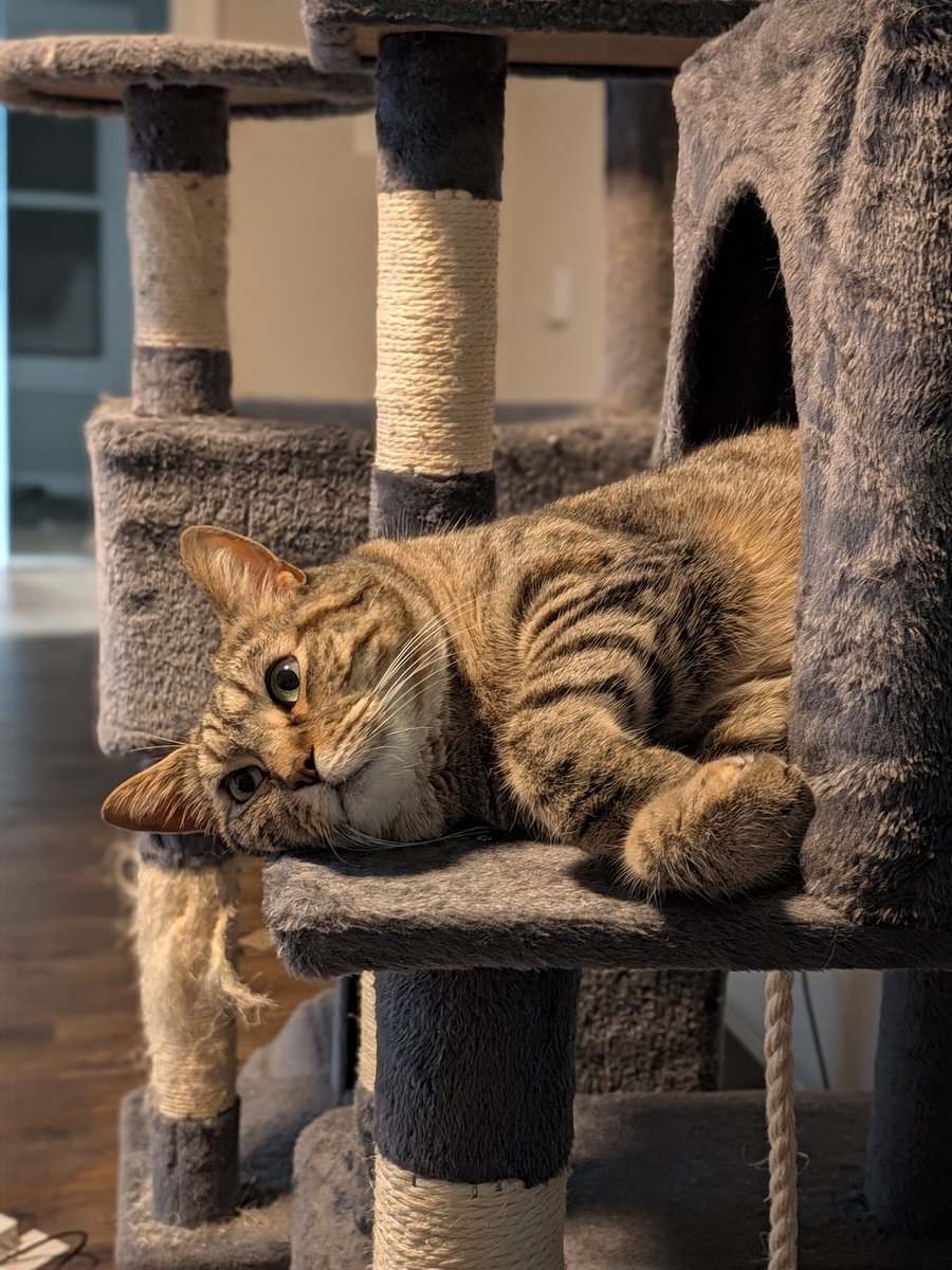ComeAdventurer's tweet photo. She contemplates life https://t.co/riEbmzY5vy