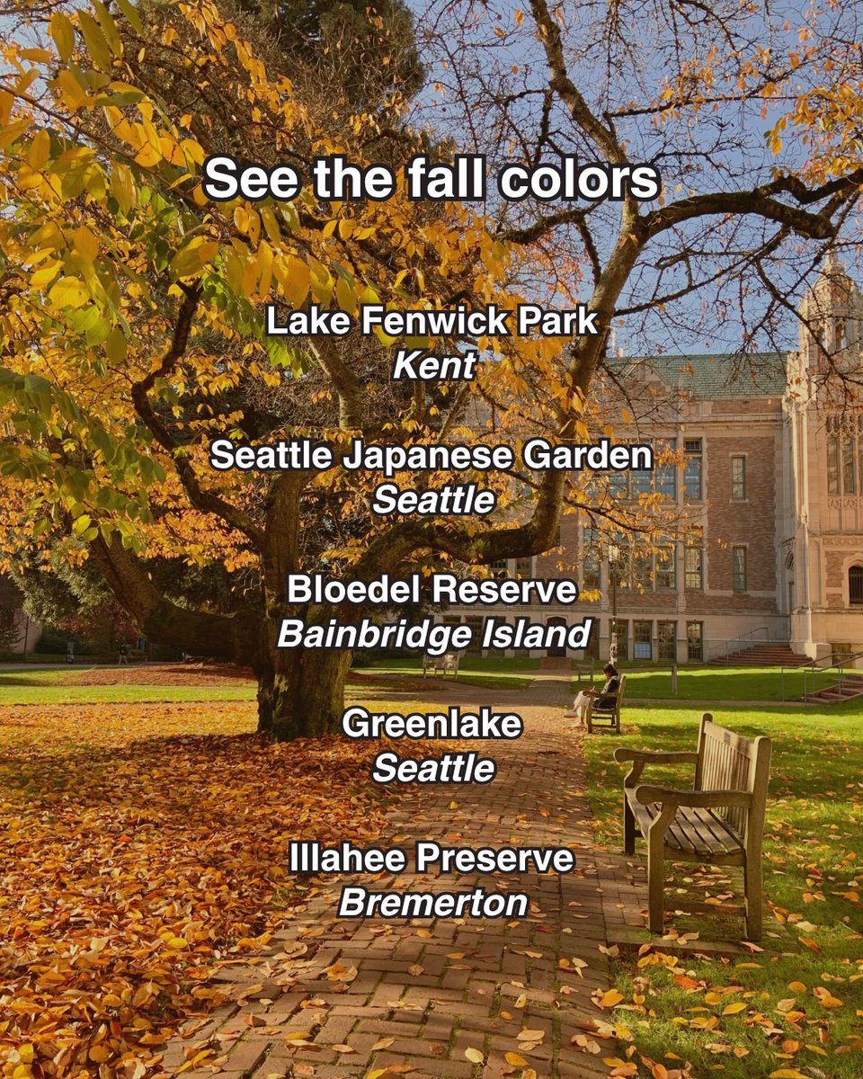 TheORCACard's tweet photo. Fall vibes are finally here across Puget Sound! Check out some of our favorite fall spots you can get to by riding with an ORCA transit partner. 

Remember, your ORCA card works across seven different transit agencies on buses, trains, ferries, and more.

🍂 Reply below, what's your favorite fall spot?