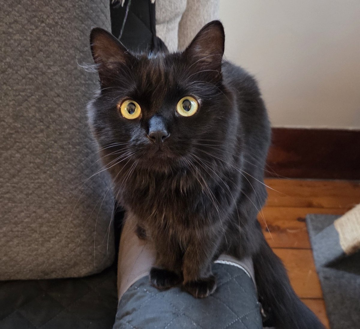 CramboJohnny's tweet photo. Willy says good morning ☀️ https://t.co/hMcr7o7IEx