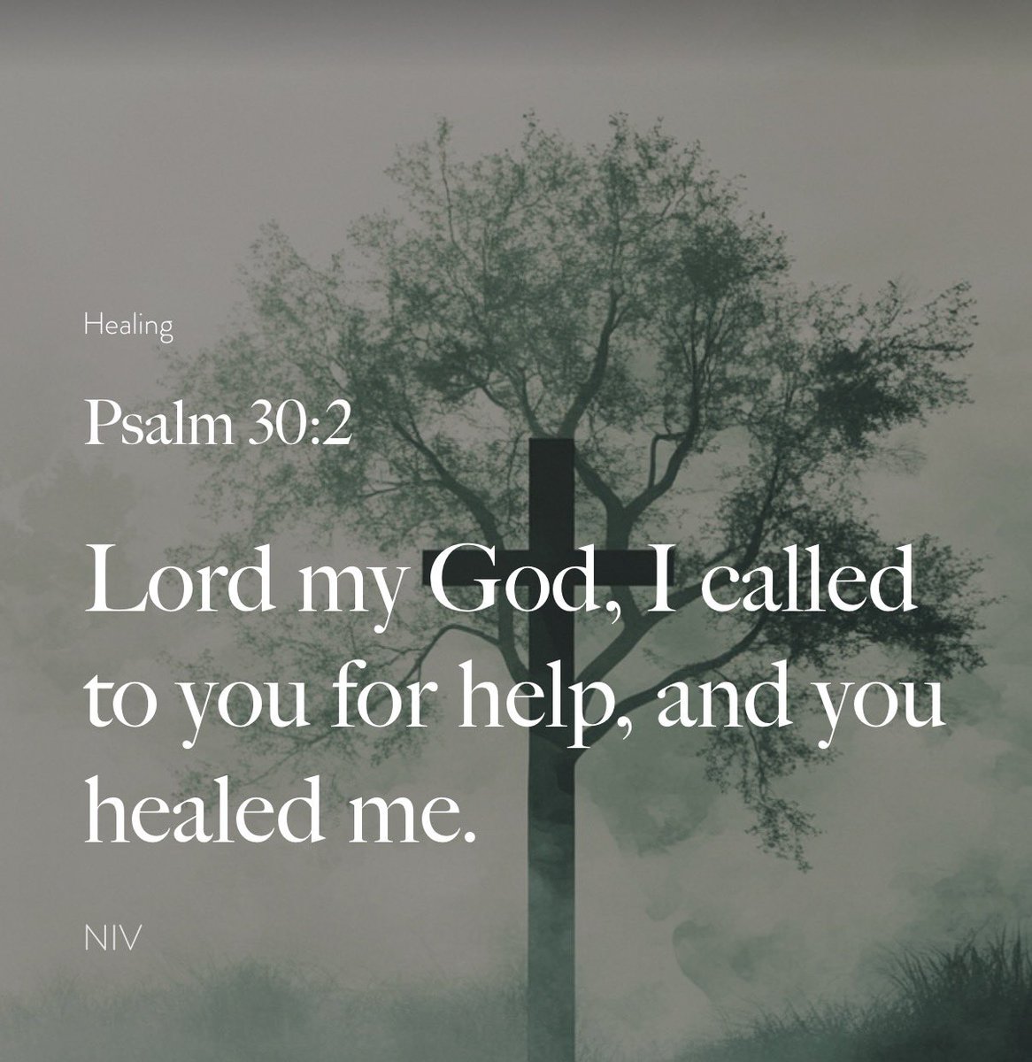 truestormyjoe's tweet photo. Day 272

I received a gift in Dec of 2025
It sends daily Bible Verses, Scripture Passages, Spiritual Growth and Encouragement.

I will share them each day.

With the hopes that it might help someone out there.
If that someone isn't you, no need to be negative please just scroll. 
It's not a decode or hidden message.
If you R/T maybe this will find someone that needed to hear this.

God Bless