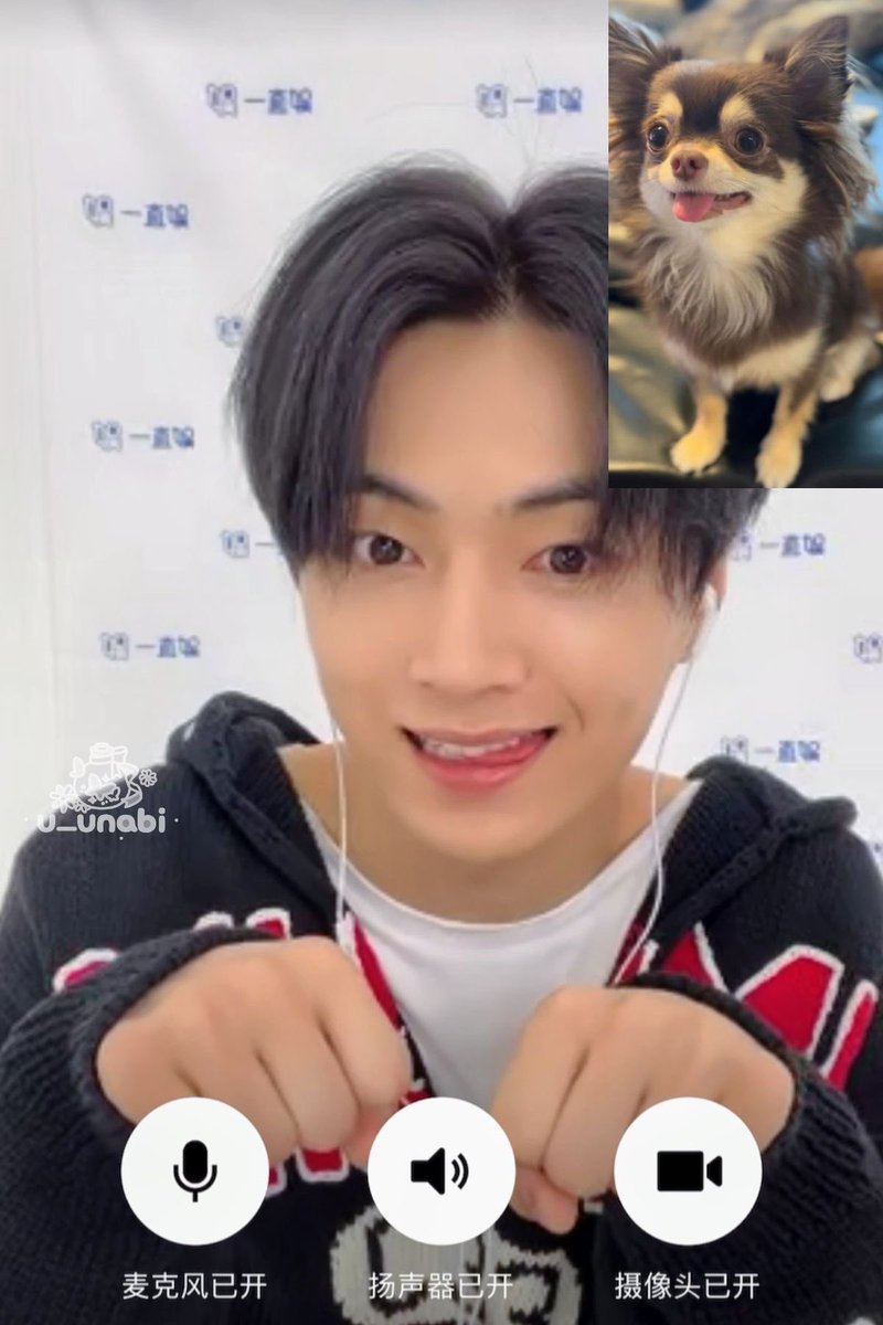 jjongsbambi's tweet photo. and forever our silly cat https://t.co/vO6Irdm3CH