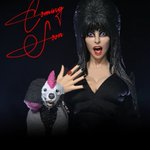 Photo by Action Figure Fury (@actionfigfury)