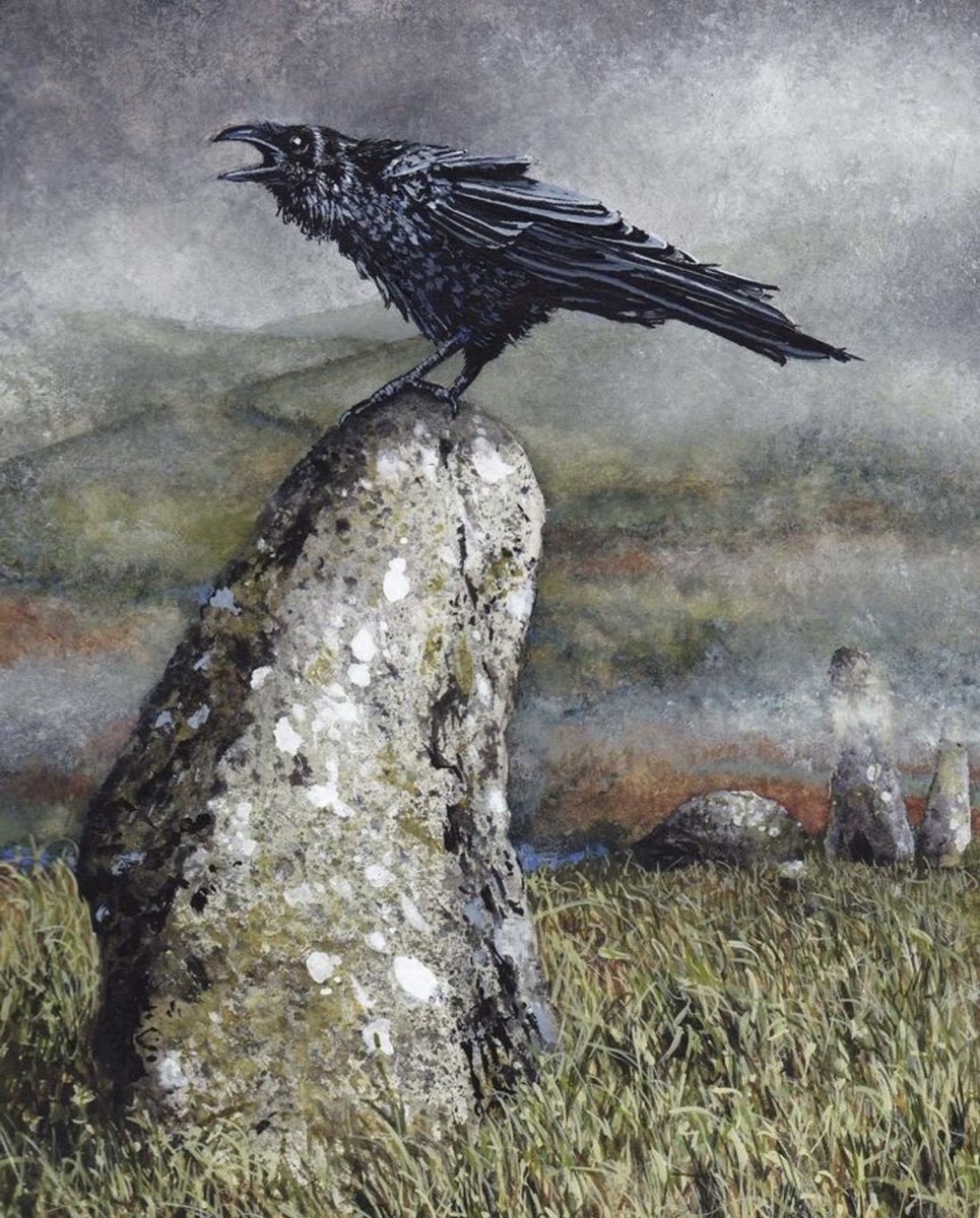 TitaniasRealm's tweet photo. #FairyTaleTuesday
 
A night raven is a creature in Norwegian folklore, that was thought to be the ghost of a sinner who had assumed the physical form of a raven. 

The night raven was a restless soul that would fly around from dusk till dawn, always from east to west, and frighten people who were out at night with their eerie shrieks.

🎨 Maggie Vandewalle