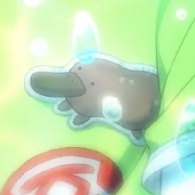 akunipii's tweet photo. I love this little platypus https://t.co/iUsD5Je0c8