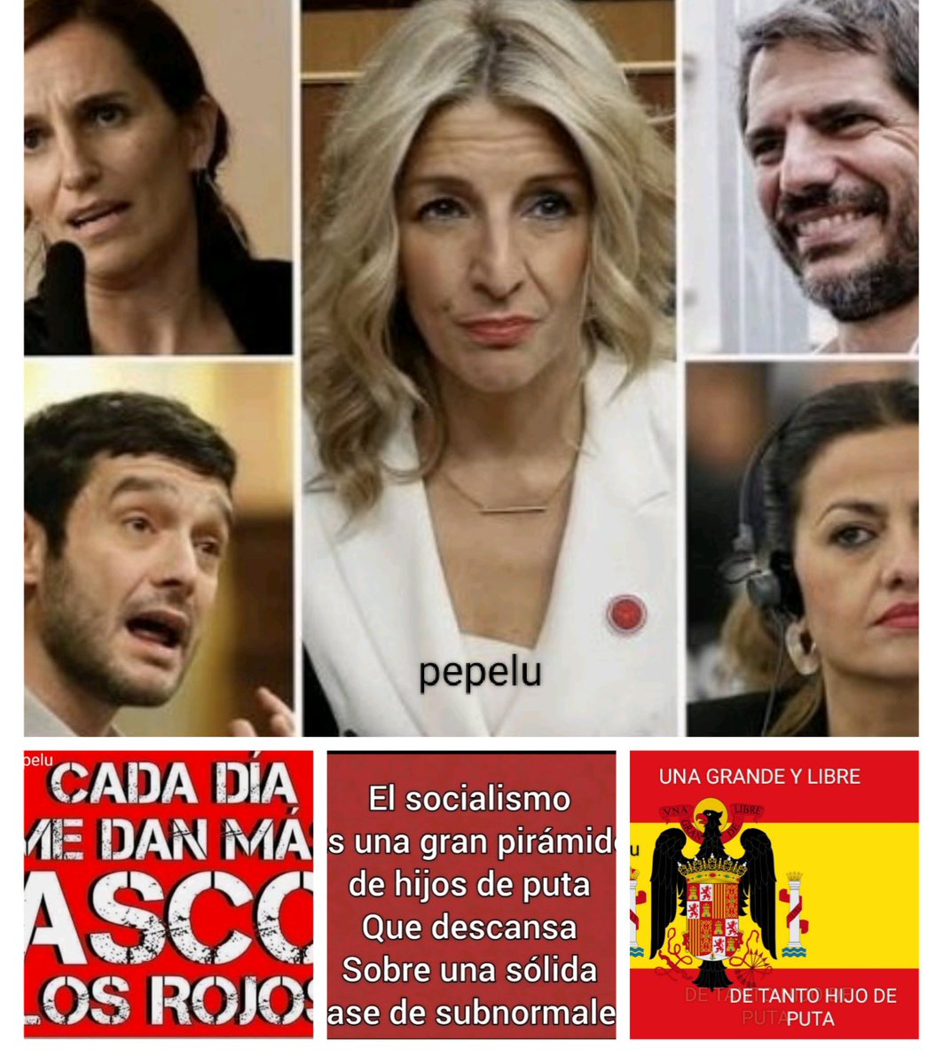 Pedro4184423072's tweet photo. Pero con este hatajo de inútiles,
analfabetos, lerdos, tarados.
Como España puede progresar.
Laboral, social,y económicamente.
con éstos sujetos es como pedirle 
peras al olmo.
Hatajo de hijos de puta. https://t.co/pc1cKmyISd